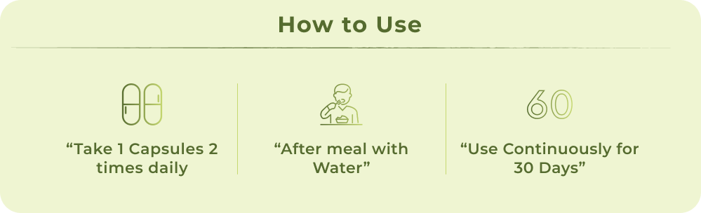 How to Use